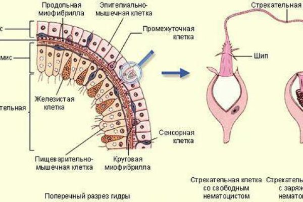 Ссылка на магазин кракен