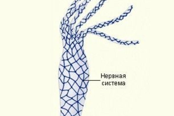 Как написать администрации даркнета кракен