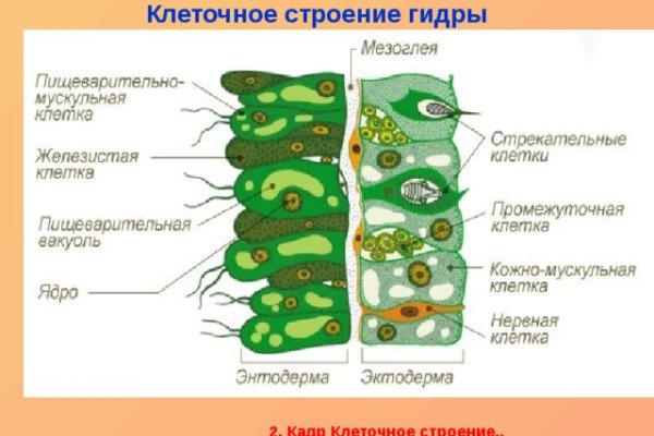 Ссылка на кракен даркнет