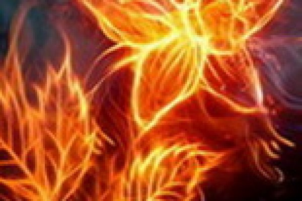 Kraken ссылка зеркало